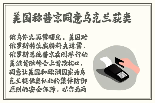 花边水蜜桃樱桃顶夹