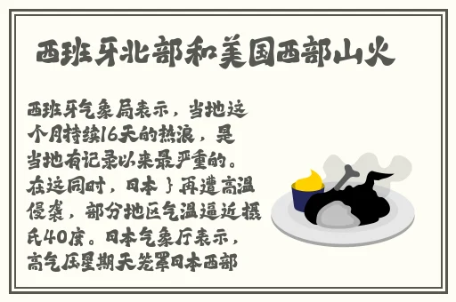 双人床上打扑克视频免费