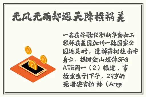 好男人2019在线视频播放观看